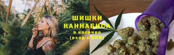 2c-b Алзамай